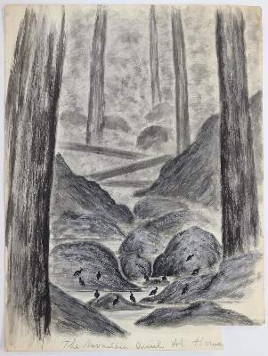 Bild Nr.6: 145-3230 Vögel in amerikanischen Landschaften.: (Varia, Zoologie)