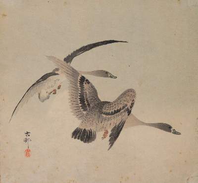 Bild Nr.1: 145-3231 Koson, Ohara: (Varia, Zoologie, Vögel)
