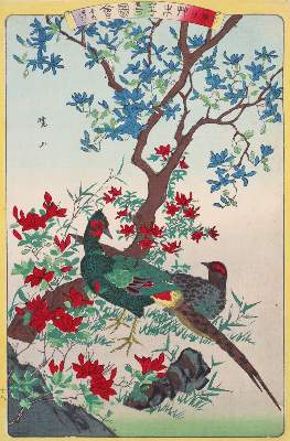 Bild Nr.1: 145-3533 Gyozan.: (Ausland, Japan)