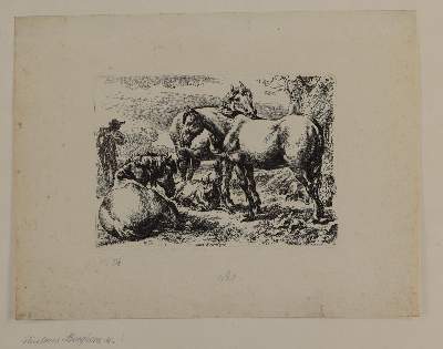 Bild Nr.1: 145-3715 Berghem, Nicolaes: (Künstlergraphik)