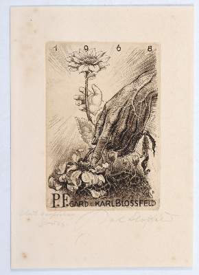 Bild Nr.3: 145-3739 Blossfeld, Karl: (Künstlergraphik)