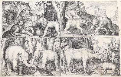 Bild Nr.1: 145-3872 De Bruyn, Nicolaes: (Künstlergraphik)