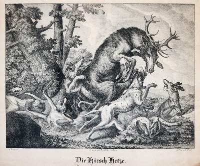 Bild Nr.1: 145-3929 Earlon, Richard: (Künstlergraphik)