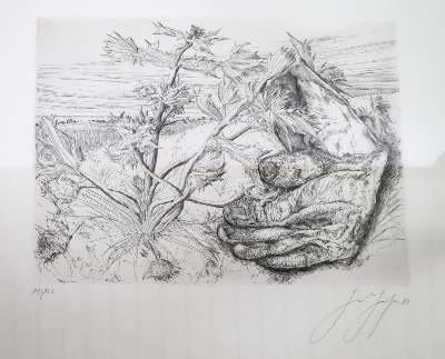 Bild Nr.3: 145-4041 Grass, Günther: (Künstlergraphik)