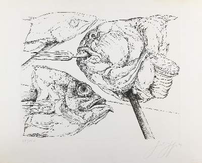 Bild Nr.1: 145-4042 Grass, Günther: (Künstlergraphik)