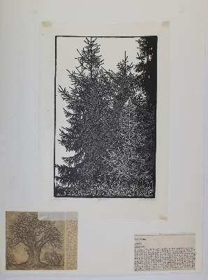 Bild Nr.10: 145-4113 Holzschnitte: (Künstlergraphik)