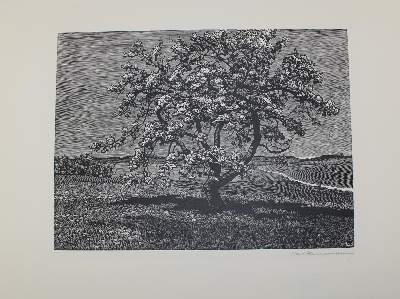 Bild Nr.3: 145-4113 Holzschnitte: (Künstlergraphik)