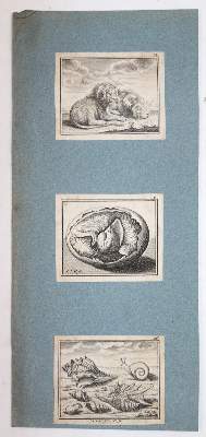 Bild Nr.9: 145-4306 Konvolut: (Künstlergraphik)