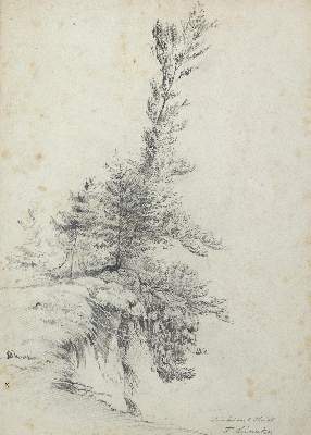Bild Nr.3: 145-4371 Leinecker, Franz: (Künstlergraphik)