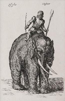 Bild Nr.1: 145-4451 Merian, Matthäus: (Künstlergraphik)