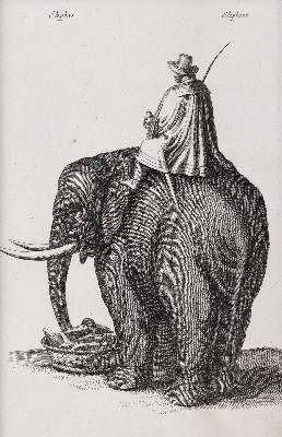 Bild Nr.2: 145-4451 Merian, Matthäus: (Künstlergraphik)