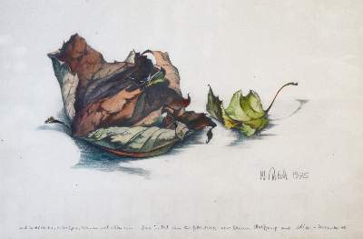 Bild Nr.6: 145-4471 Moderne: (Künstlergraphik)