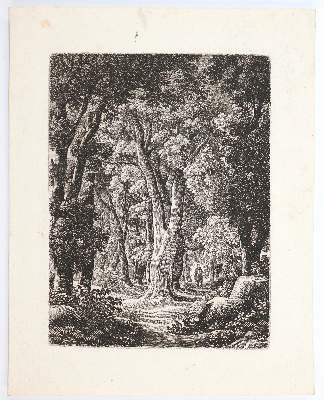 Bild Nr.1: 145-4621 Reinhart, Johann Christian: (Künstlergraphik)
