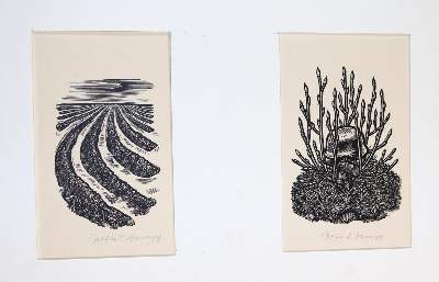 Bild Nr.12: 145-4718 Sammlung: (Künstlergraphik)