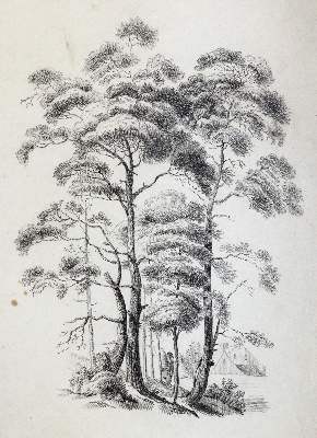 Bild Nr.6: 145-4725 Sammlung: (Künstlergraphik)