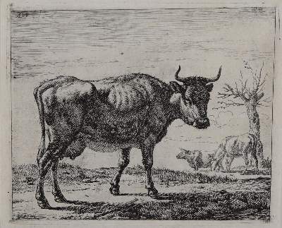 Bild Nr.2: 145-4920 Van de Velde, Adriaen: (Künstlergraphik)
