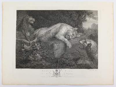 Bild Nr.2: 145-4947 Ward, William: (Künstlergraphik)
