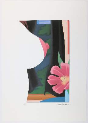 Bild Nr.3: 145-4966 Wesselmann, Tom: (Künstlergraphik)
