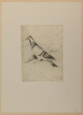 Bild Nr.1: 145-5012 Ziegler, Richard: (Künstlergraphik)