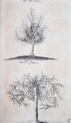 Bild Nr.4: 145-531 Fleming,H.F.v.: (Jagd)