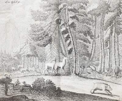 Bild Nr.5: 145-531 Fleming,H.F.v.: (Jagd)