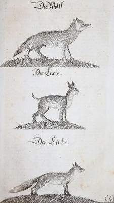Bild Nr.6: 145-531 Fleming,H.F.v.: (Jagd)