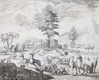 Bild Nr.8: 145-531 Fleming,H.F.v.: (Jagd)