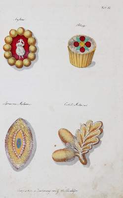 Bild Nr.5: 145-586 Neunhöfer,G.C.: (Küche und Haushalt, Konditorei)
