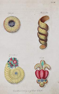 Bild Nr.6: 145-586 Neunhöfer,G.C.: (Küche und Haushalt, Konditorei)
