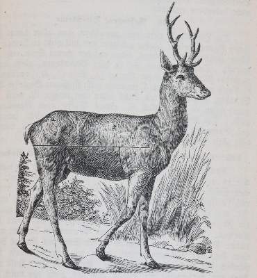 Bild Nr.93: 145-589 Rückgänge.: (Küche und Haushalt)
