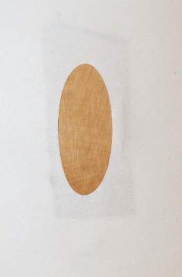 Bild Nr.3: 145-593 Nördlinger,H.: (Land- und Forstwirtschaft, Forstwirtschaft)