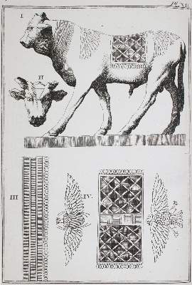 Bild Nr.2: 145-609 (Caylus,A.C.P.).: (Archäologie)