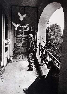 Bild Nr.3: 145-671 Sammlung: (Art History)
