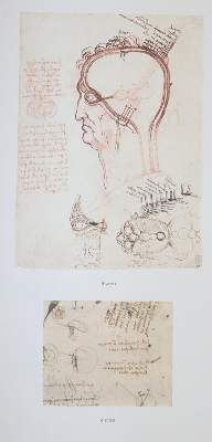 Bild Nr.1: 145-724 Leonardo da Vinci.: (Faksimile)