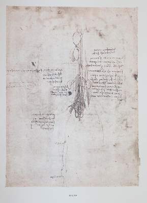 Bild Nr.2: 145-724 Leonardo da Vinci.: (Faksimile)