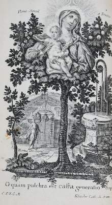 Bild Nr.1: 145-81 Dornn,F.X.: (Alte Drucke, Handschriften und Theologie)