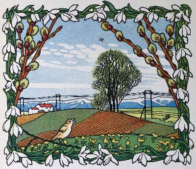 Bild Nr.1: 145-850 Caspari, Getrud u. Walther Caspari.: (Kinder- und Jugendbücher)