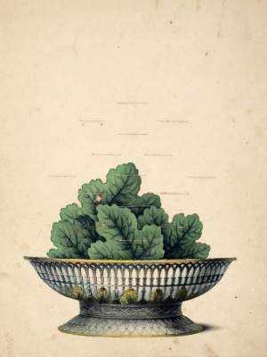 Bild Nr.2: 145-912 Reich der Blumenkönigin, Das.: (Children´s books)