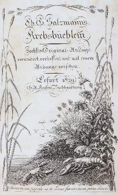 Bild Nr.3: 145-914 Salzmann,C.G.: (Kinder- und Jugendbücher)