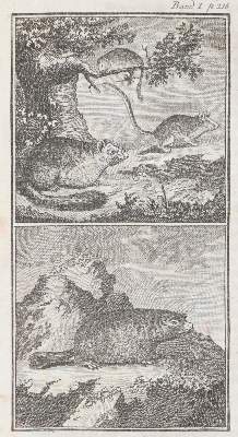 Bild Nr.1: 145-935 (Weiße,C.F. Hrsg.).: (Children´s books)