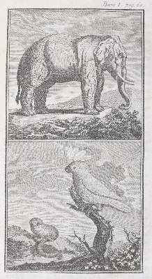 Bild Nr.6: 145-935 (Weiße,C.F. Hrsg.).: (Children´s books)