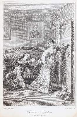 Bild Nr.6: 145-939 Taschenbuch: (Almanache)