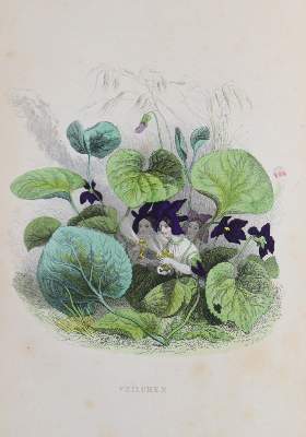Bild Nr.2: 145-976 Böttger,A.: (Einband)
