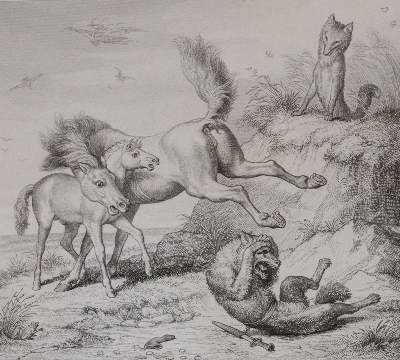Bild Nr.5: 145-998 Goethe,J.W.v.: (Literature and illustrated books 19th century)